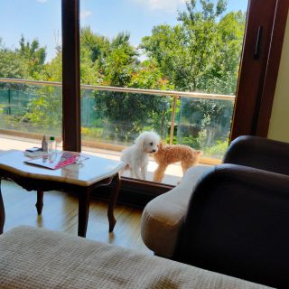 https://www.nilgardens.com/wp-content/uploads/2022/12/14-320x320.jpeg