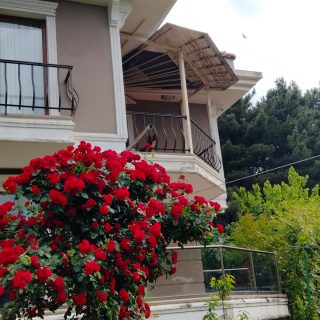 https://www.nilgardens.com/wp-content/uploads/2022/12/23-320x320.jpeg